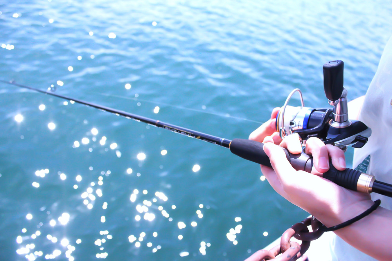 ブログ 村上餌虫店
